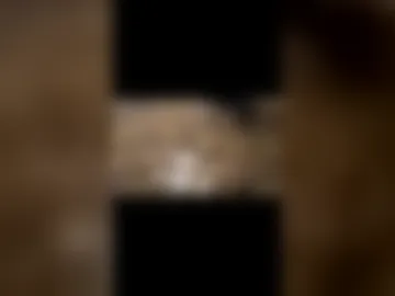 smokefest187 photo 5