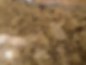 smokefest187 photo 5