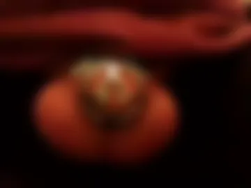 snakepit31 live webcam preview
