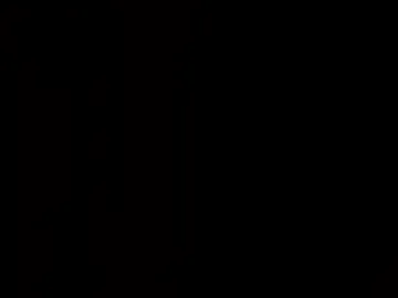 sneaky_link2 photo 2