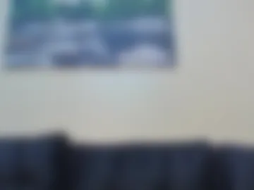 sneecat webcam preview