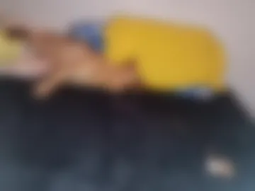 so69su photo 5
