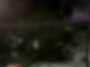 sofia_cleyton1 webcam preview