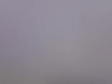 sofivelvet12 live webcam preview