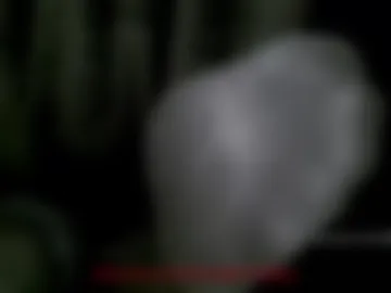 solefetisherking live webcam preview