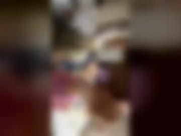 solevx live webcam preview