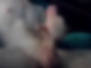 somegoneguy photo 4