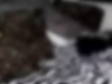 someoneprettycool live webcam preview