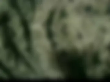 soniahiddencd photo 2