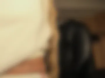 sophiepalmerx photo 3