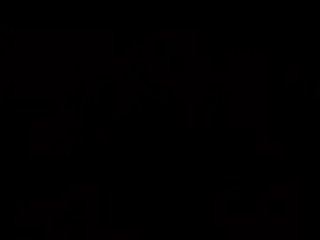 soulconnect2026 webcam preview