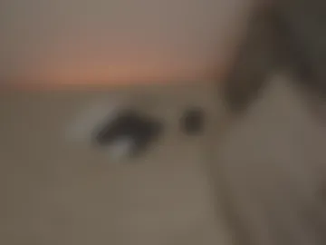soydenise webcam preview