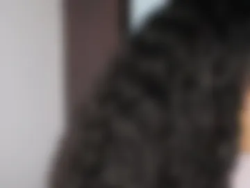 soytropicalfruit live webcam preview