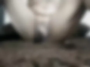 sozypoy6 live webcam preview