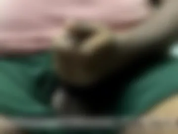 space_dog25 live webcam preview