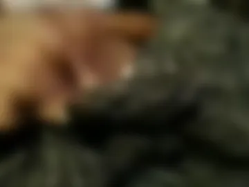sphillips669 webcam preview