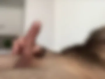 spritzer669 live webcam preview