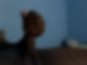 squeeze1120 live webcam preview