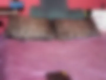 squirtwerps photo 2