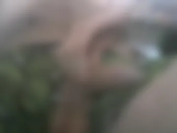 squizzrrd live webcam preview