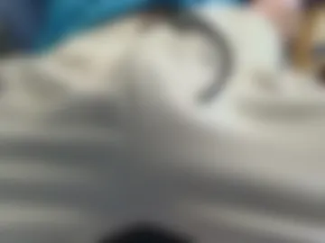 st_james2504 live webcam preview
