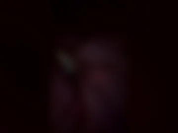 stalun955 live webcam preview
