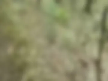 stanczykmarek live webcam preview