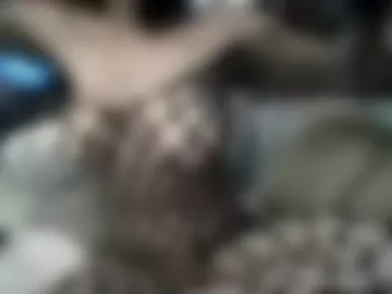 starfish420_ webcam preview