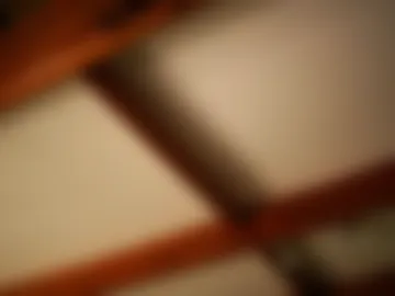 stella_shock webcam preview