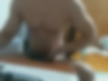 stellan_0412 photo 2