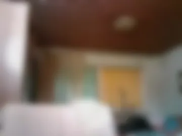 stellar_mesh3d live webcam preview