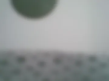 stepcookie webcam preview