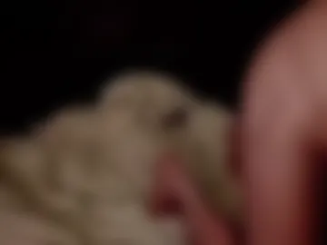 steveywolves live webcam preview