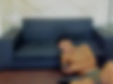 stivendreams photo 4