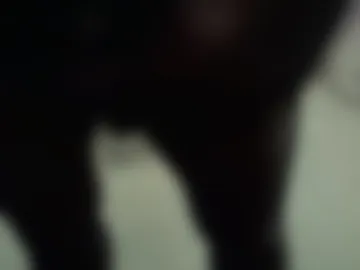 stockingslegsss photo 2