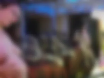 stonykat webcam preview