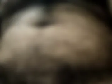 stork2023 webcam preview