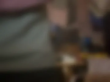 str8foryouguy live webcam preview