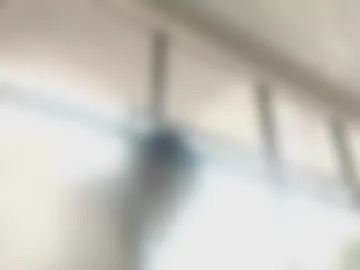 studio_scarlet_palace photo 5