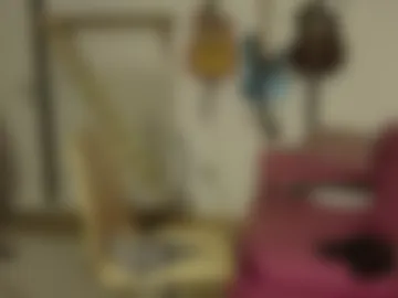 suahsetla webcam preview