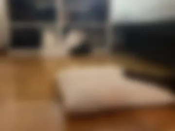 sub_miles live webcam preview