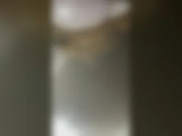 subboyy02 live webcam preview