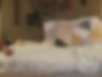 submissivesluttie live webcam preview