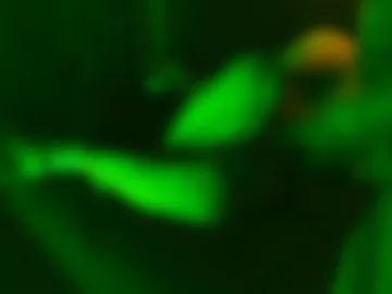 substance_abuse photo 4