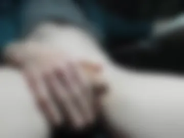 suedernorder photo 2