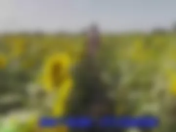 sunflower0907 photo 9