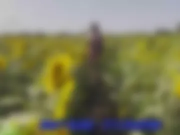 sunflower0907 photo 4