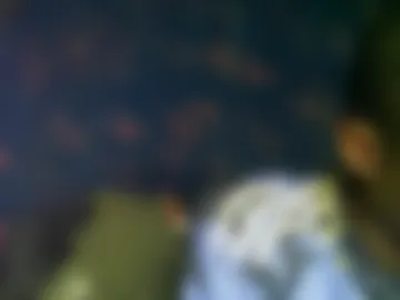 sunnyjohn447 photo 8