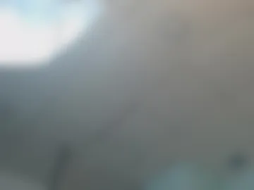 susanwilliams_ photo 6