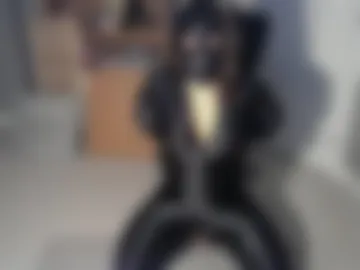 sutcas live webcam preview